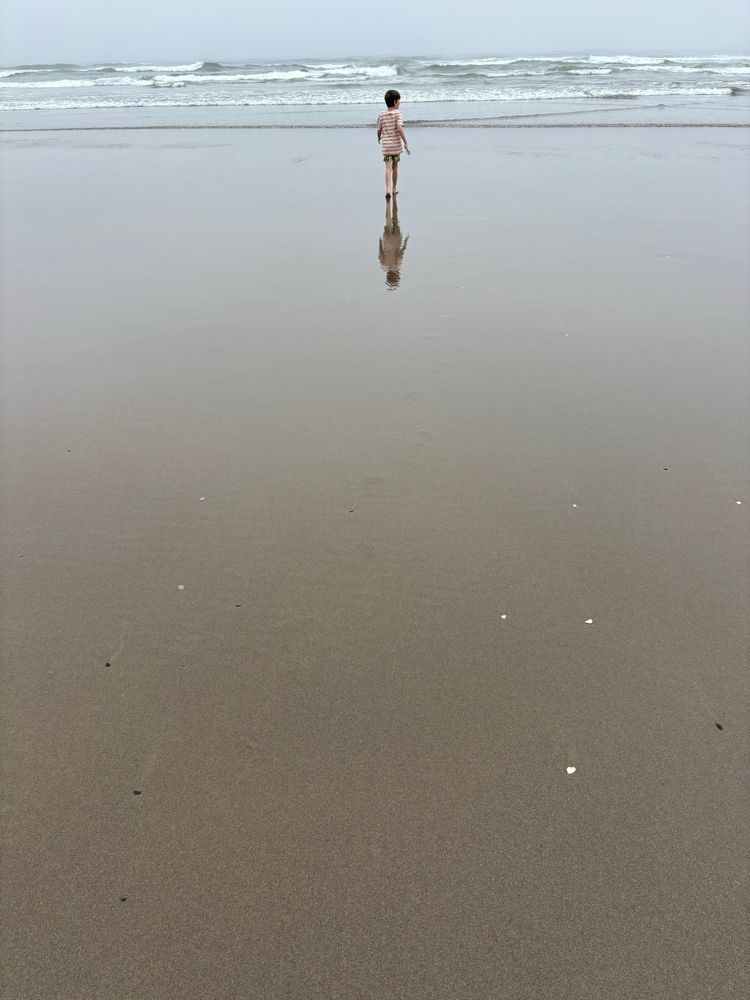 reflected in the light coating of water on the beach