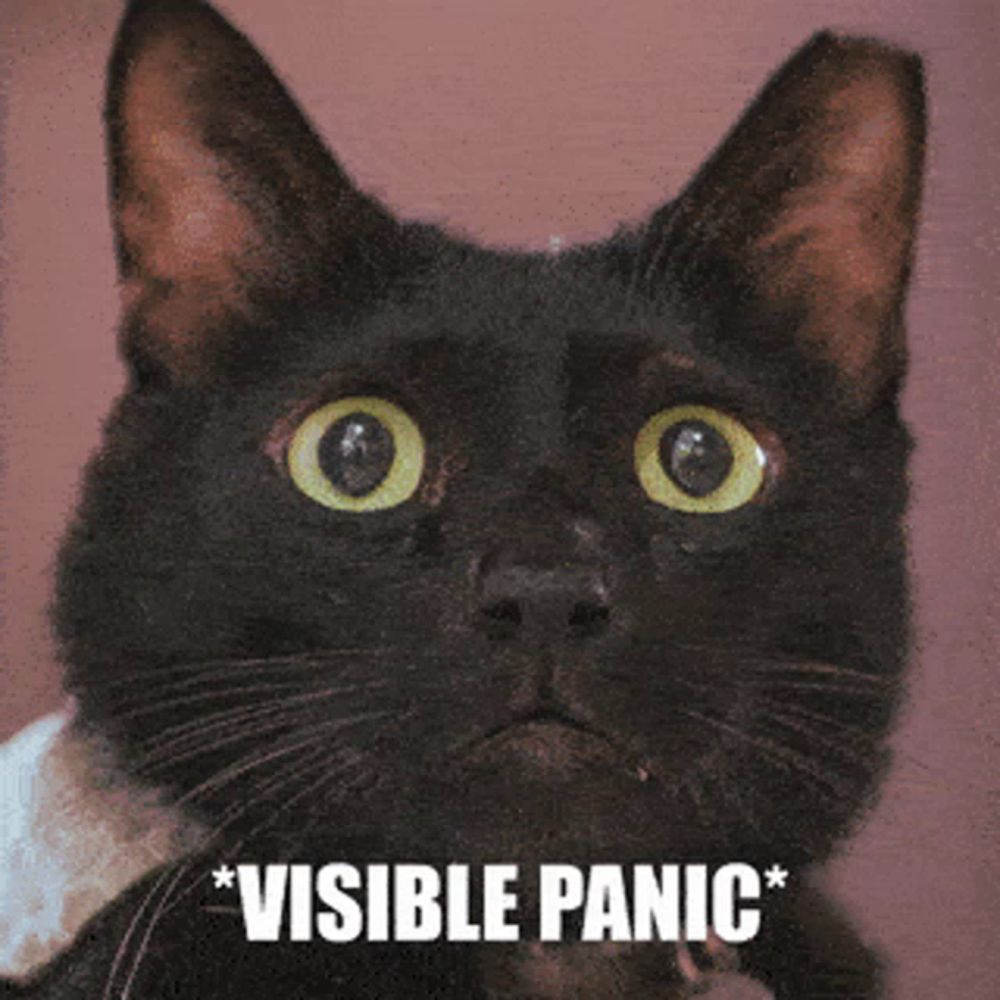 a black cat with visible panic written on it