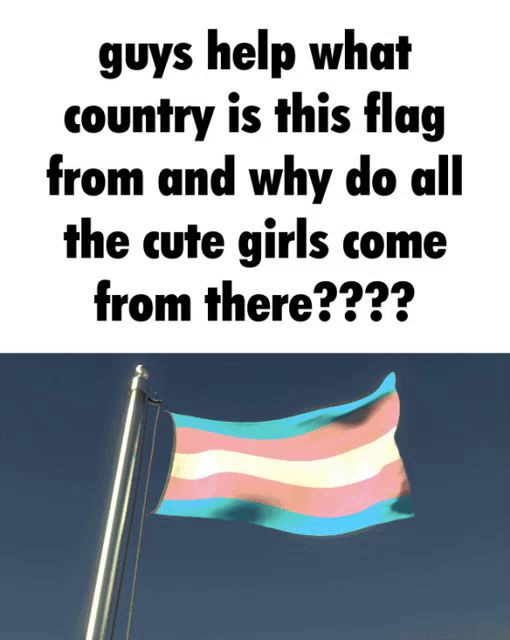 a picture of a transgender flag with a caption that says guys help what country is this flag from