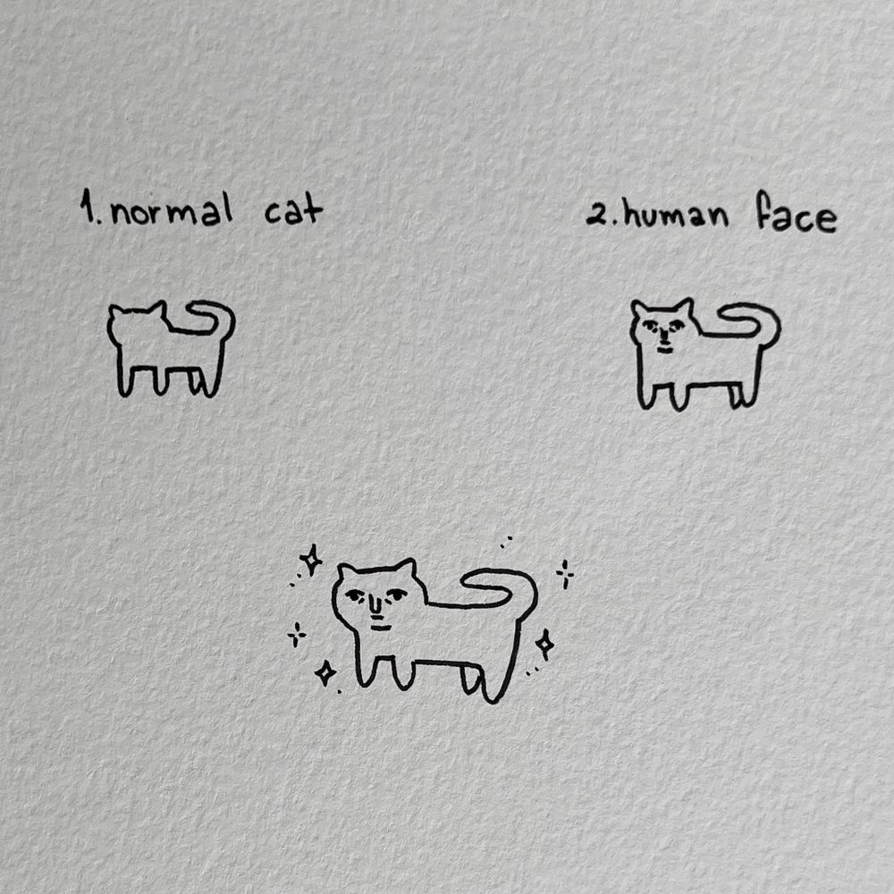 a simple tutorial on how to draw a medieval cat. step 1 shows a basic “normal cat" with no details. step 2 shows the same cat but with a "human face" added, featuring a straight mouth and serious eyes. the final drawing combines both elements — a cat with a human-like face, surrounded by sparkles ✨ 
