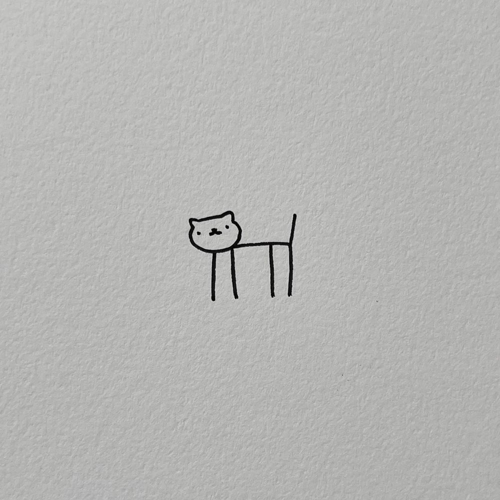 a drawing of a cat head and a body made of 5 lines 
