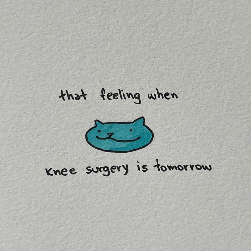 a doodle of a blue cat with the text: “that feeling when knee surgery is tomorrow”