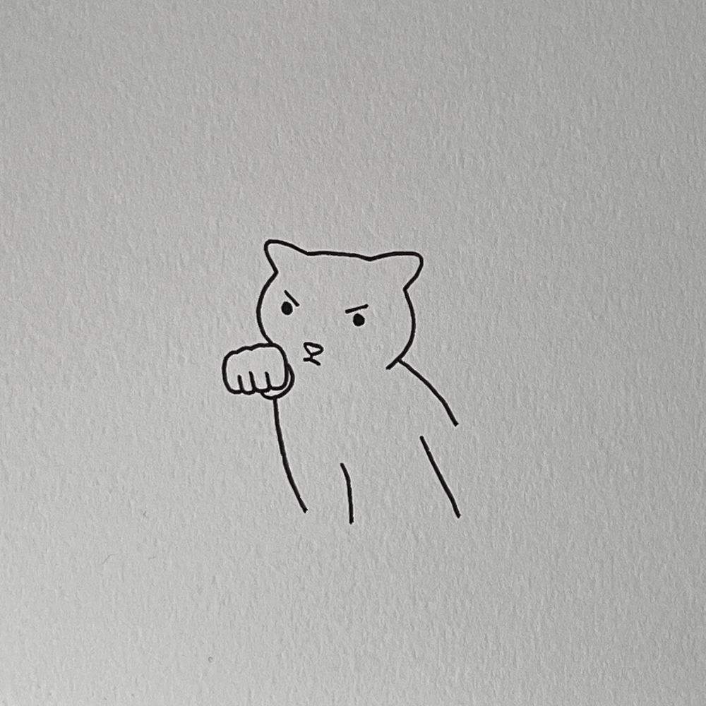 another angry kitty punching you