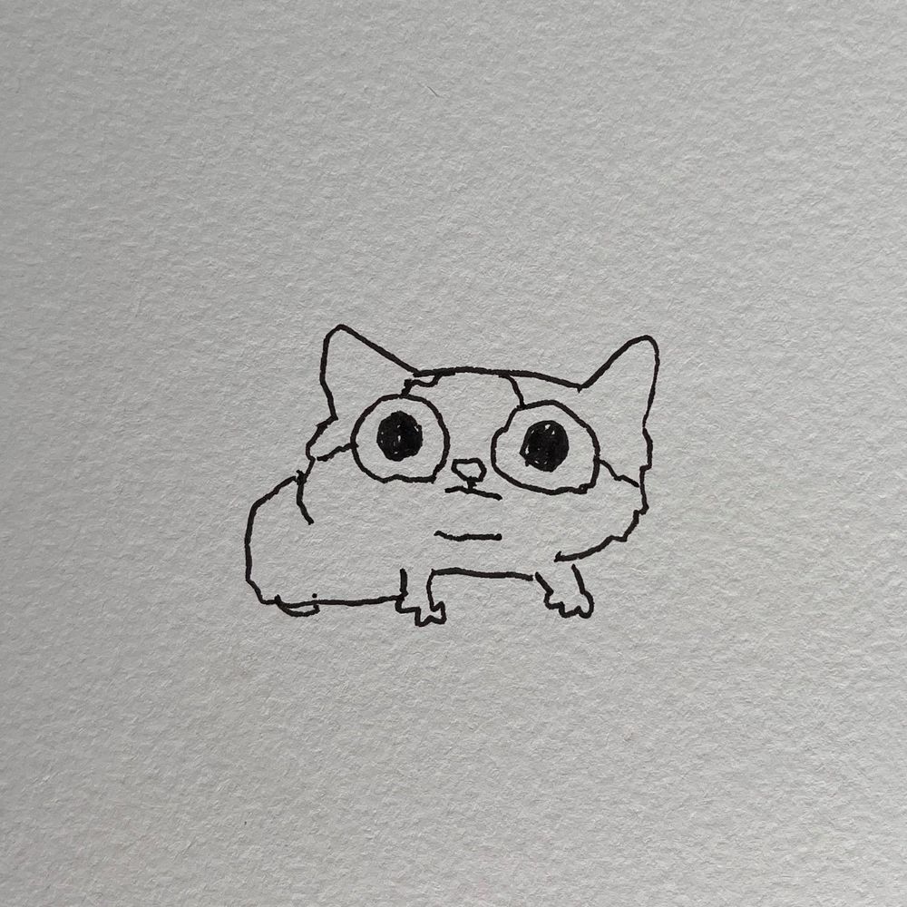 a very skrunkly drawn cat with big eyes and shaky lines