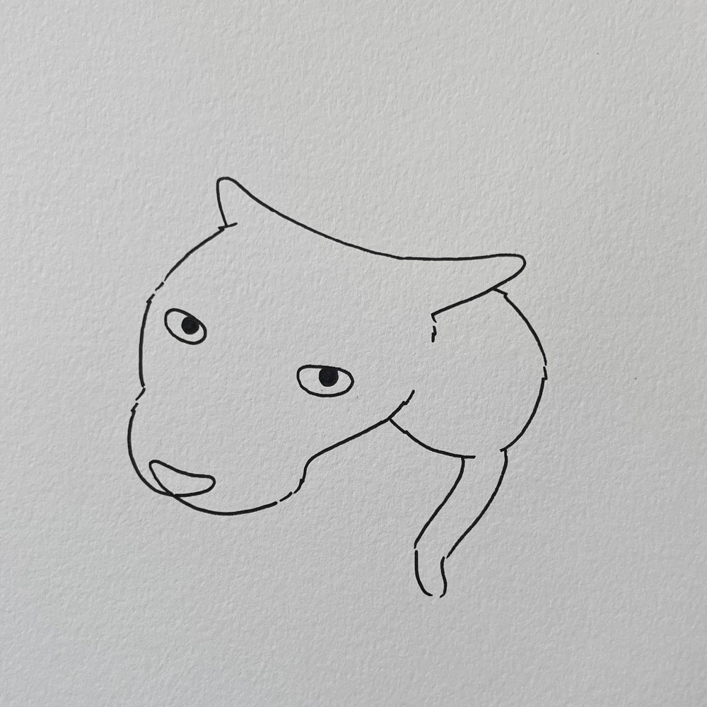 a poorly drawn cat with a big nose and head 