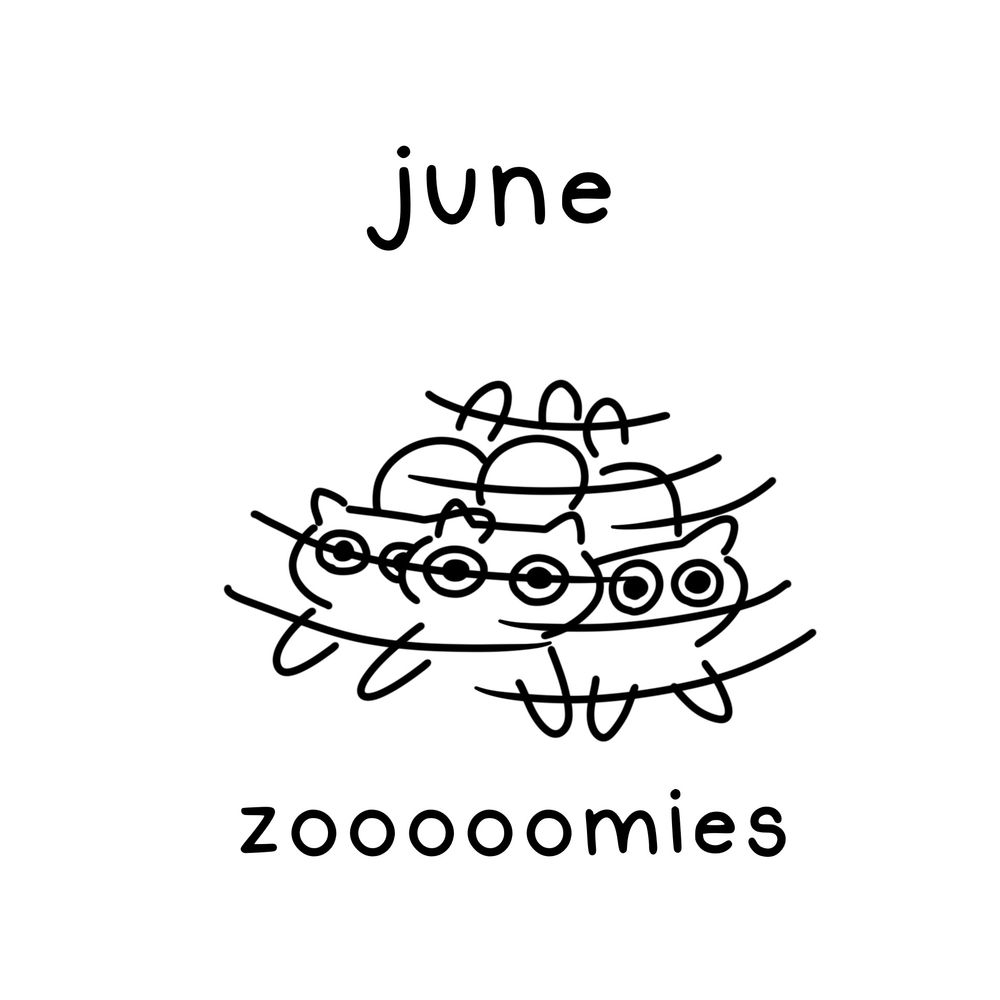 june, zoooomies