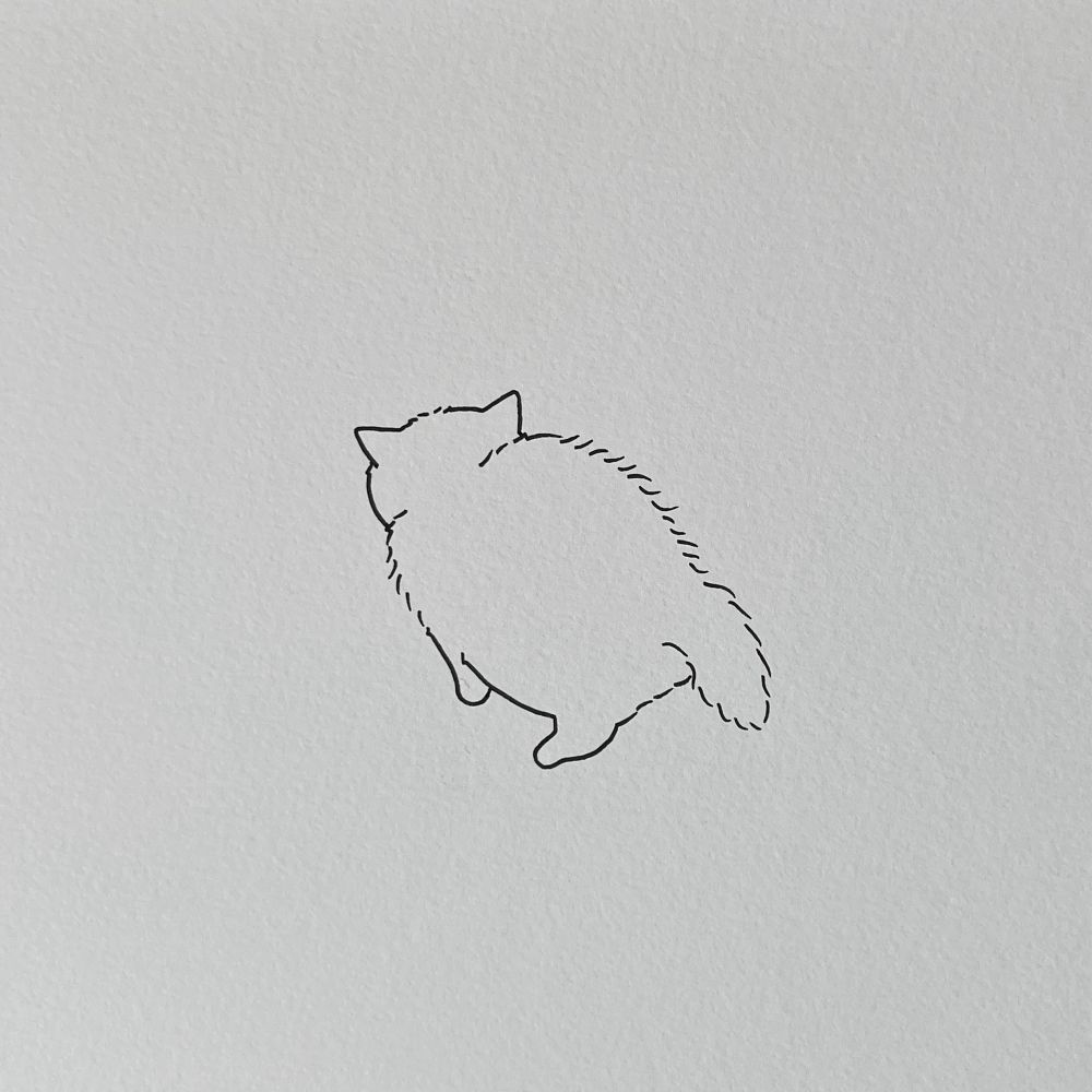 a poorly drawn cat cat with its body slightly hunched and fur puffed out, giving it a rounded appearance reminiscent of a kiwi