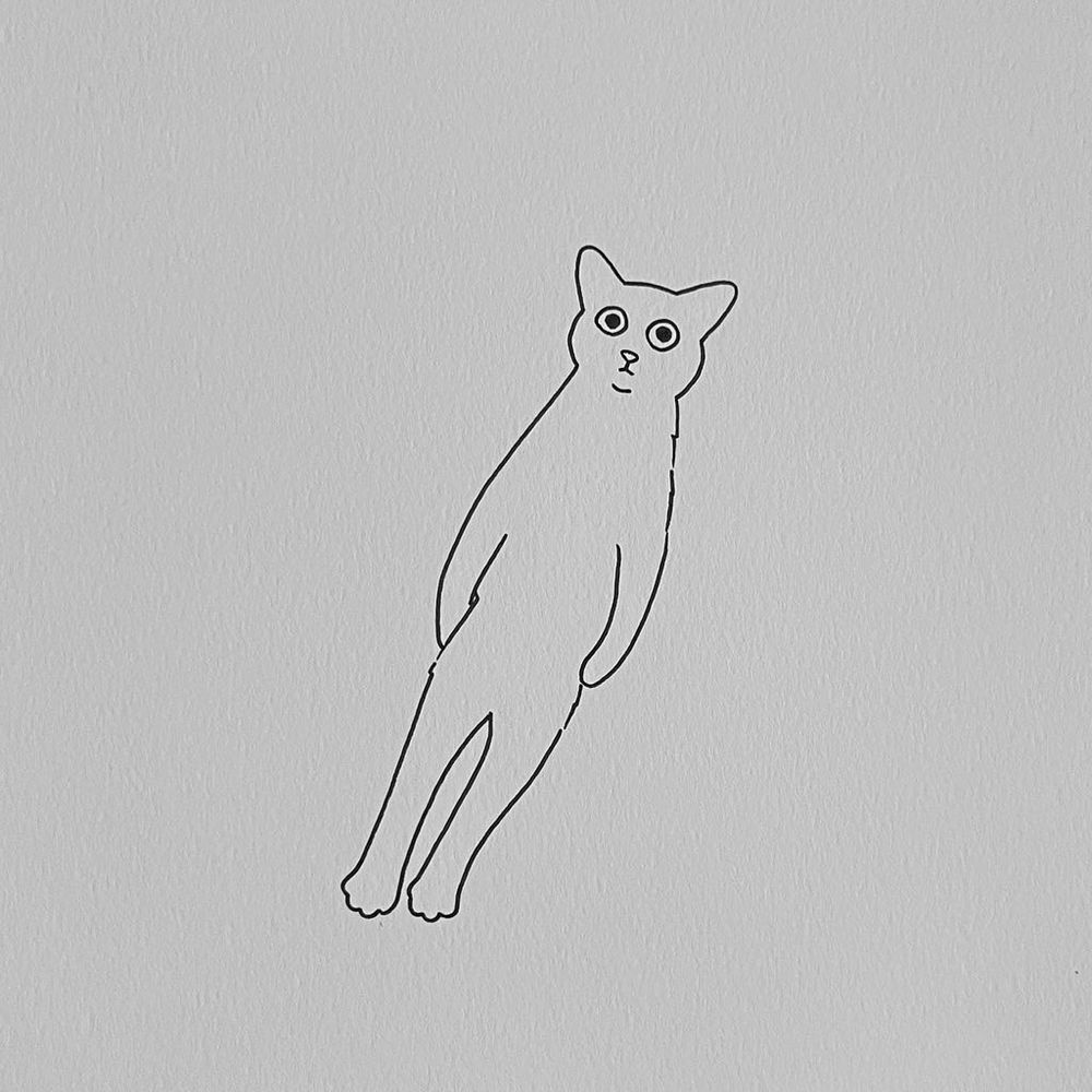 a poorly drawn cat standing stiffly upright with tiny arms close to its body and wide, surprised eyes, tilted slightly as if floating