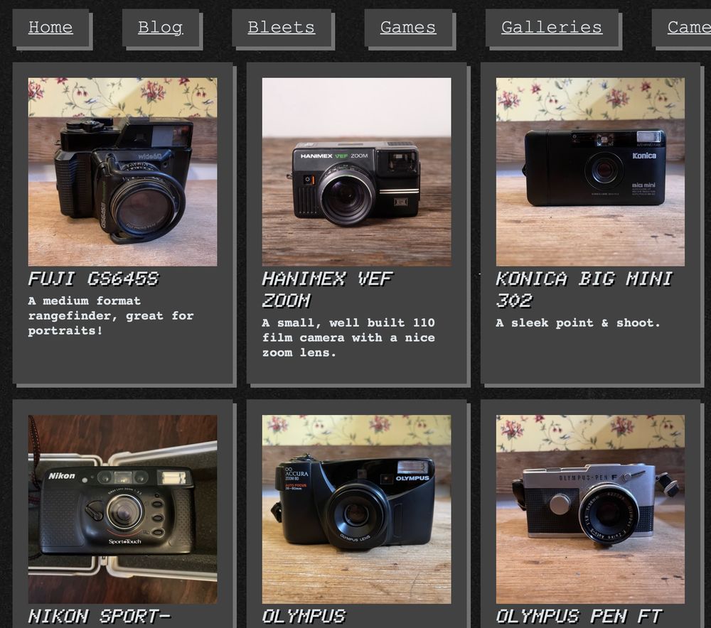 the layout of the cameras page which is a bunch of like sized rectangles that have pictures of cameras inside of it along with titles and a short description