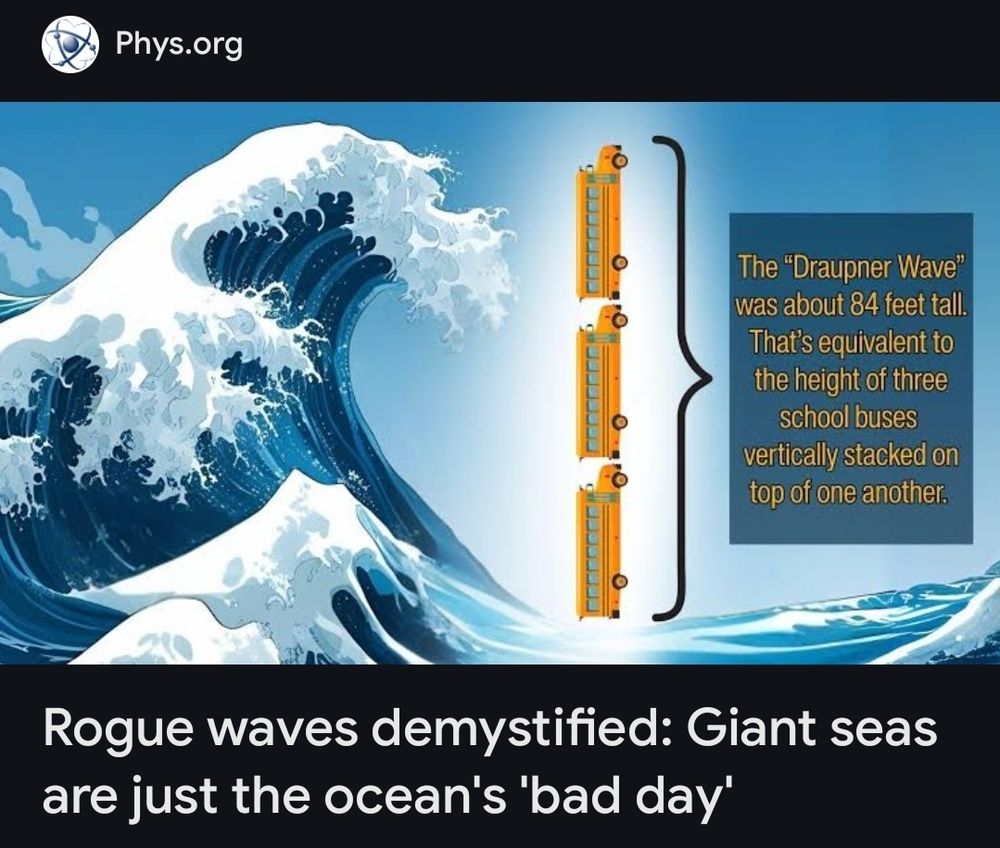 A picture of a large wave with 3 school buses showing it's height. 
