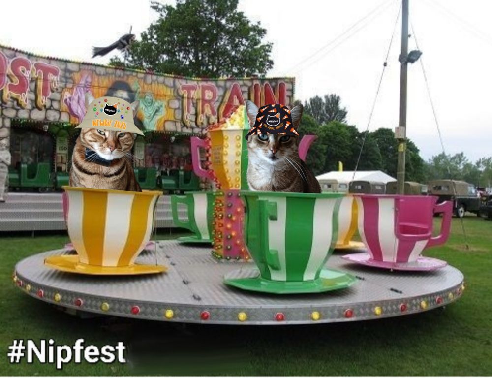 Florrie and Kora, Tabby Cats, on the teacup ride.