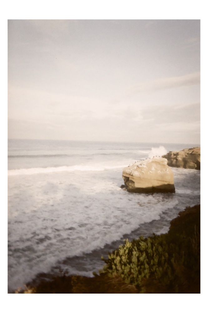 Gulls lined up on a large rock formation in a beach cove. A low gentle wave breaks. 