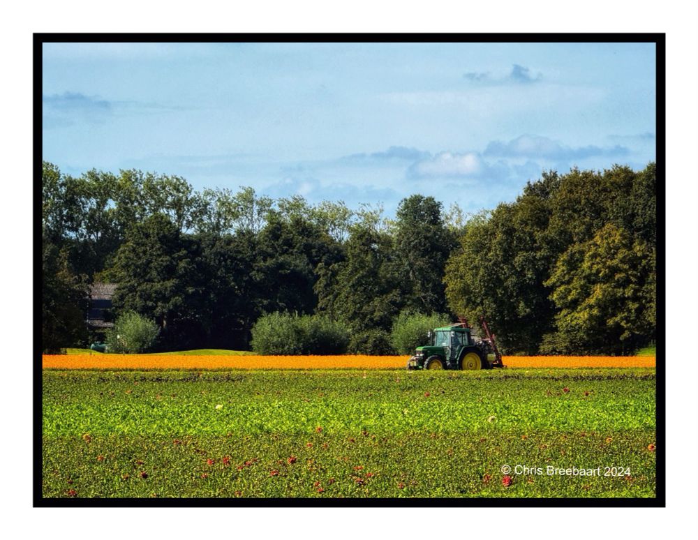 Tractor On A Gentle Line Of Orange