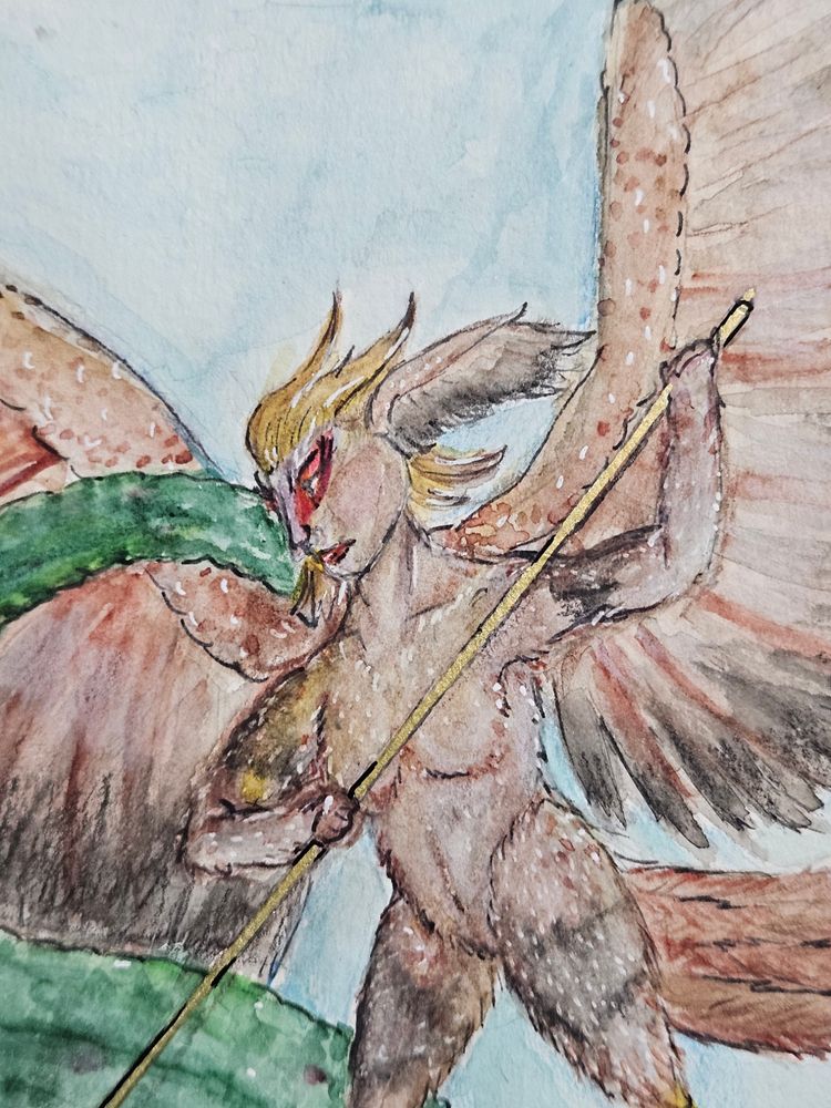 close up on the harpy