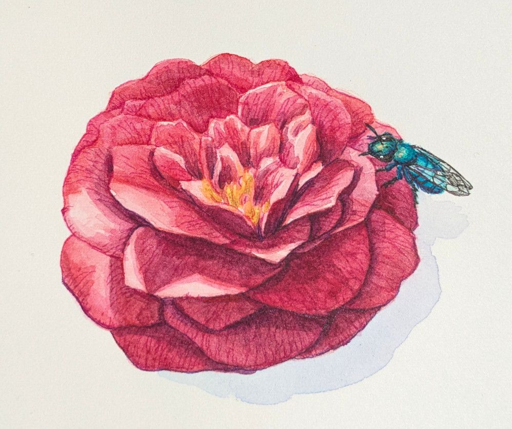 watercolor with flower and bee
