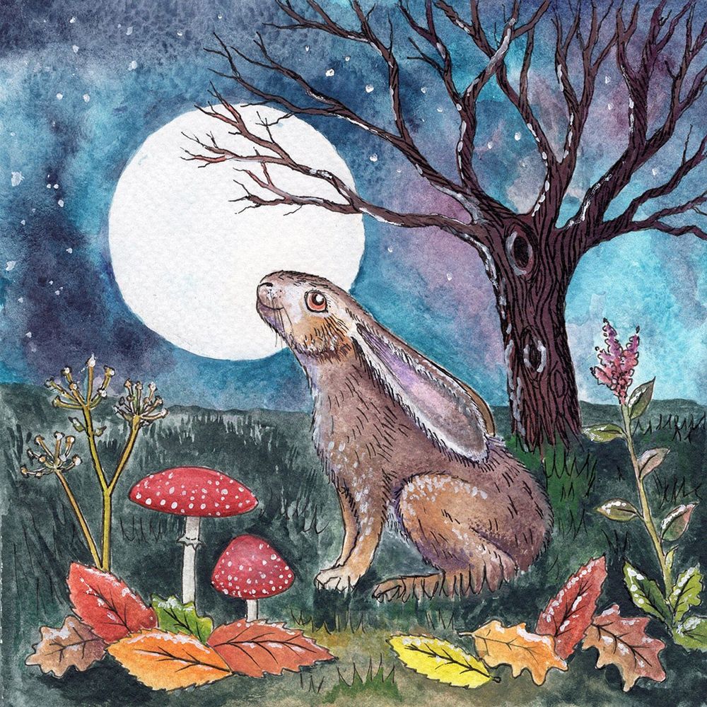 a moon gazing hare with mushrooms and fallen autumn leaves