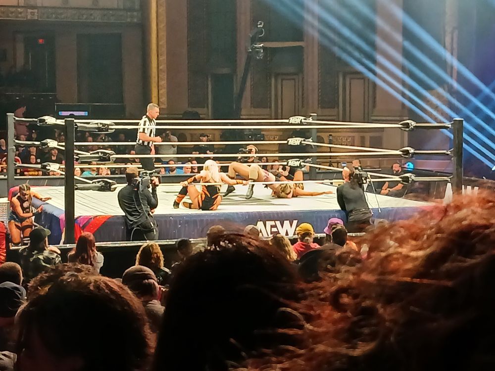 Everyone exhausted during the 4 way women's match