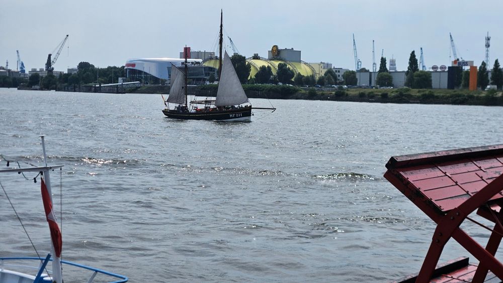 Die Elbe und im Vordergrund ein Traditionsschiff mit Segeln.