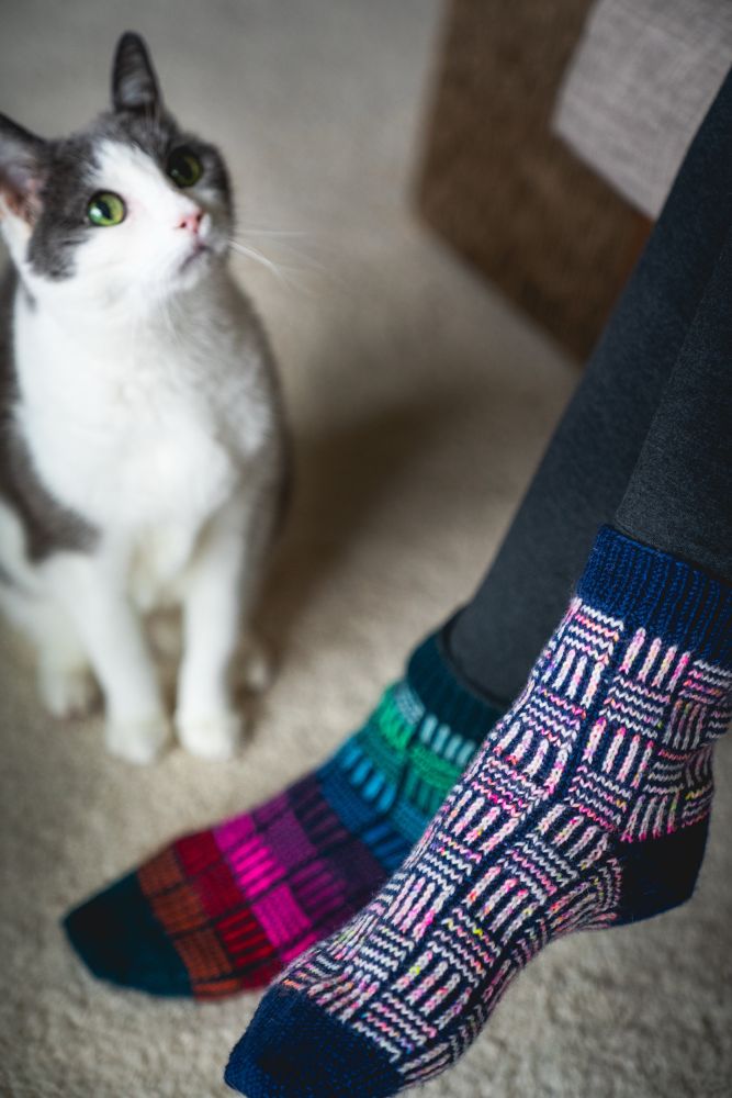 Close-up photo of person wearing hand-knit Tally Alley colorwork socks while a white and gray cat watches