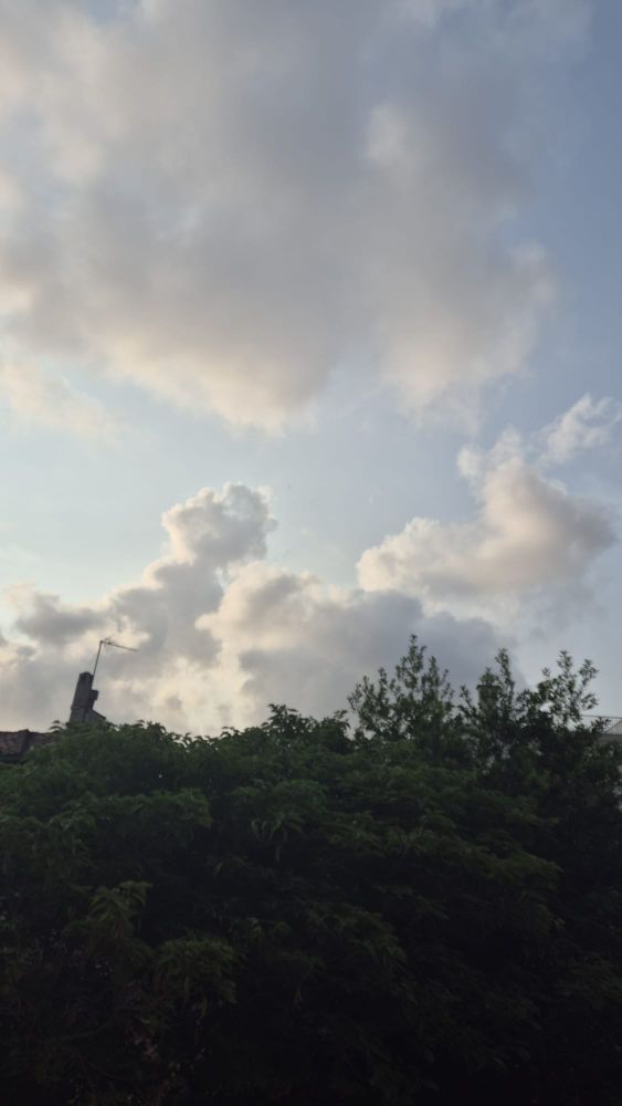 Petit matin à Marseille 13014.

Le ciel du matin s’éveille en silence,
effleurant du regard l’épaisse verdure qui l’entoure.
Le bleu et le vert se font face, sans jamais se confondre
 Certains arbres, pourtant, s’élèvent, étirant leurs branches
comme pour effleurer le voile céleste. Mais le ciel, lointain et impassible, ne leur accorde aucun passage.