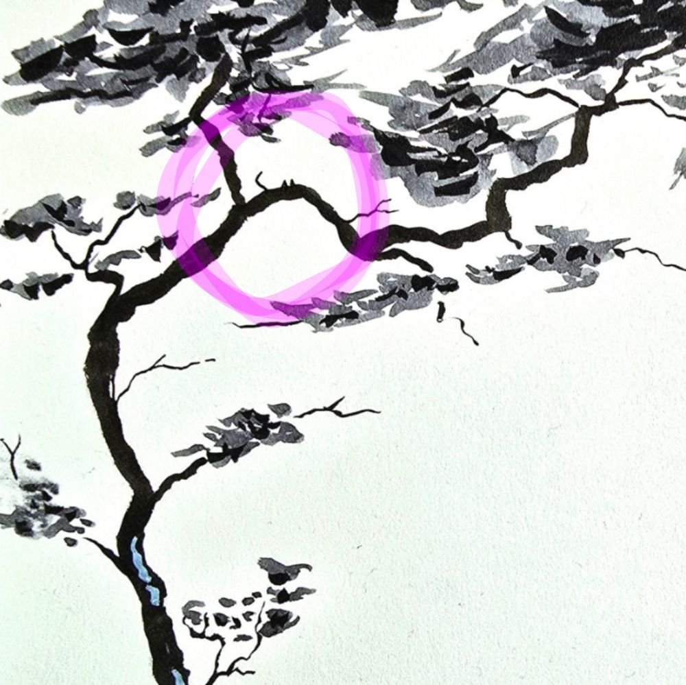 The bean wanderer rests within a branch 