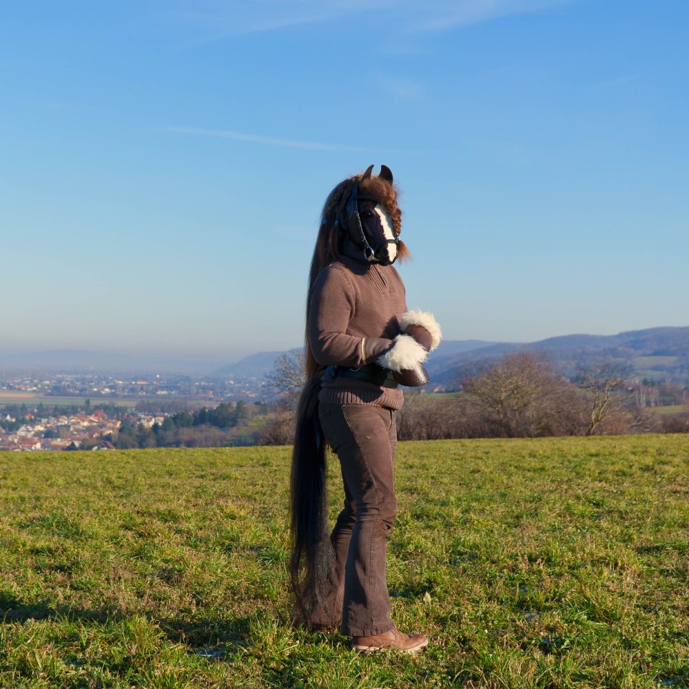 Me wearing my horse costume standing on a hill. Turned sideways slightly, looking at the viewer. A small town is visible in the background.