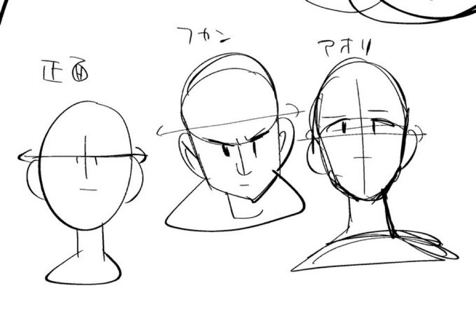 目尻と目尻を繋いだ先に耳の一番高いところが来る