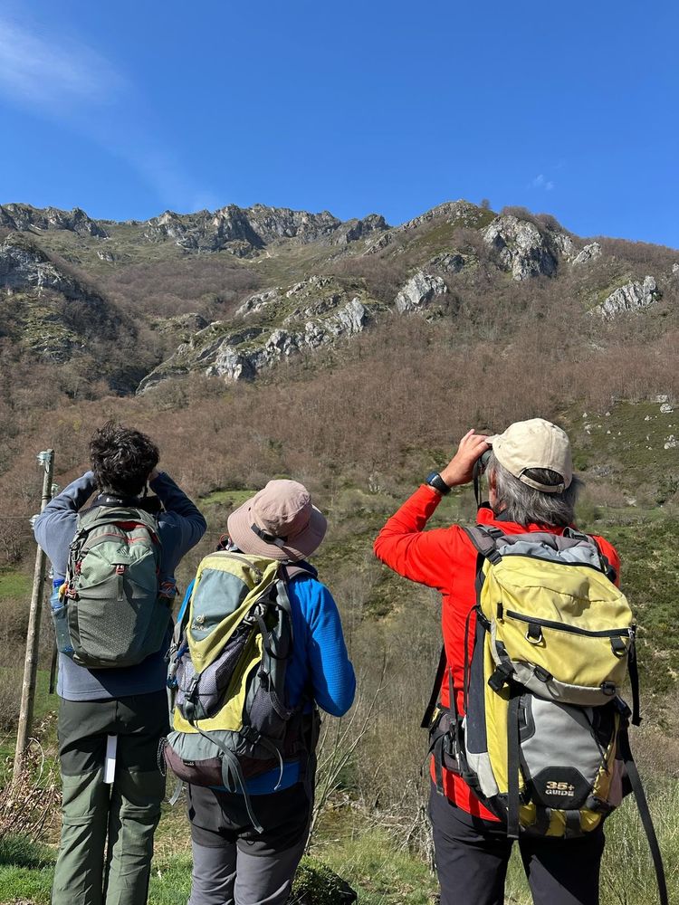 Observación de rebecos durante la salida de paseriformes. 