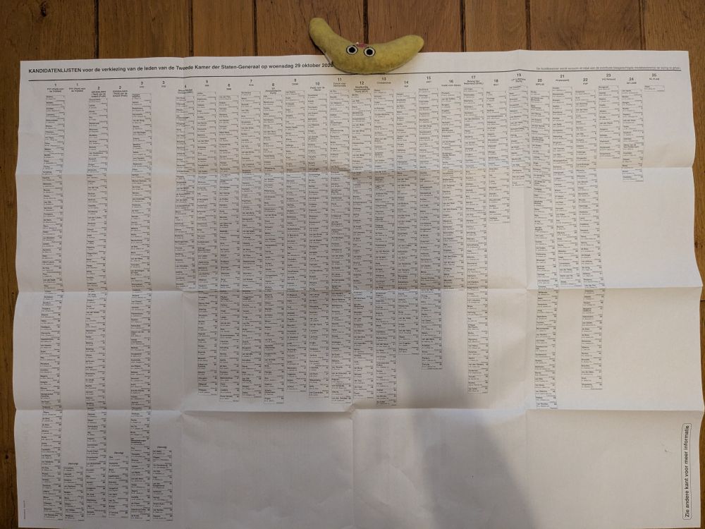 An A2 sized sheet of election candidates for the Dutch parliamentary elections of 2025. It's almost entirely filled with font size 10 names.

On top there is a toy banana that my cat very much enjoys