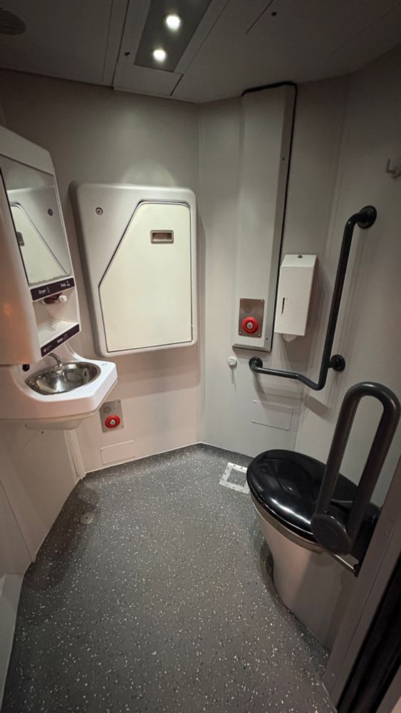 The accessible toilet on 158847 which has been refreshed with grey linoleum floor and dark grey grab handles.