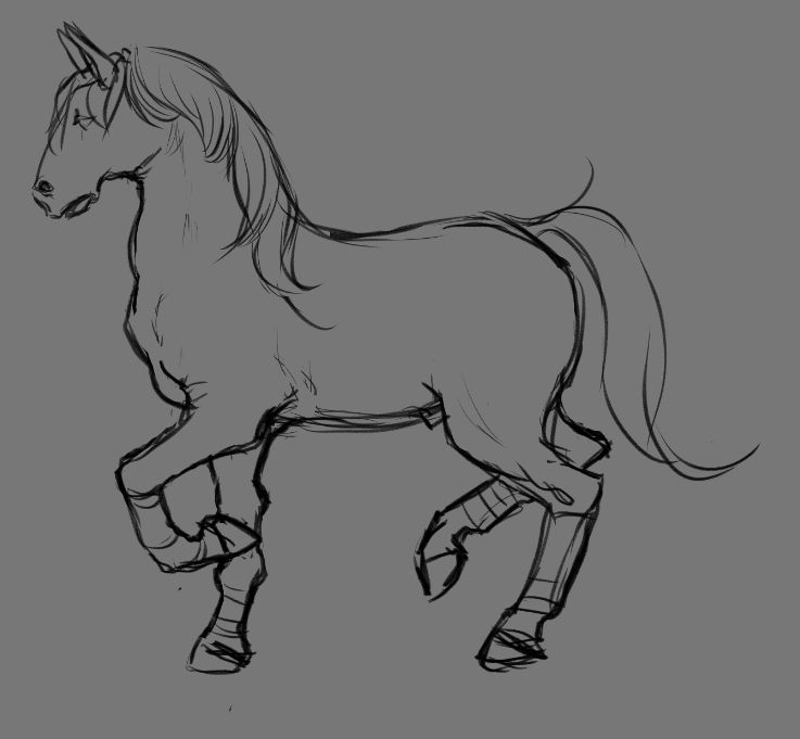 Simple black line drawing, profile of a full body of a horse, facing left, all from memory.