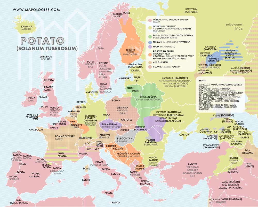 1098-Mapa-linguistico-de-la-patata-2024