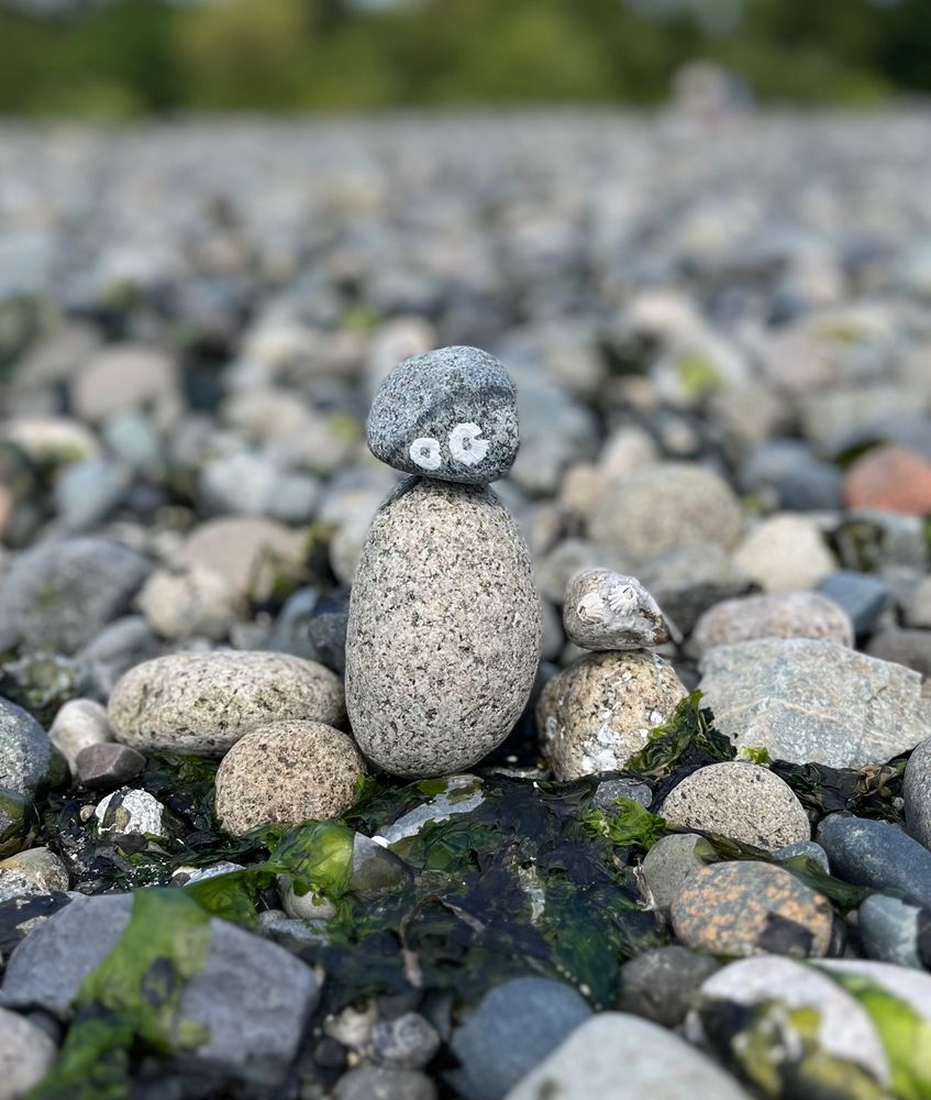 Beach rocks stacked to look like two cartoonish people; one big, one small. The rocks used as heads each has a pair of barnacles that make it look like the rocks have eyes. The rock people—not in an AC/DC way, by-the-way—are standing on a rocky beach with a wee bit of dried seaweed in the foreground. 🤘🏼🗿