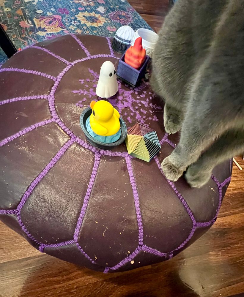 A small gray cat sitting on top of a purple ottoman takes possession of the mystery box items on display, including a small hand fidget toy, clicky duck, clicky ghost, clicky dumpster fire, and more. 