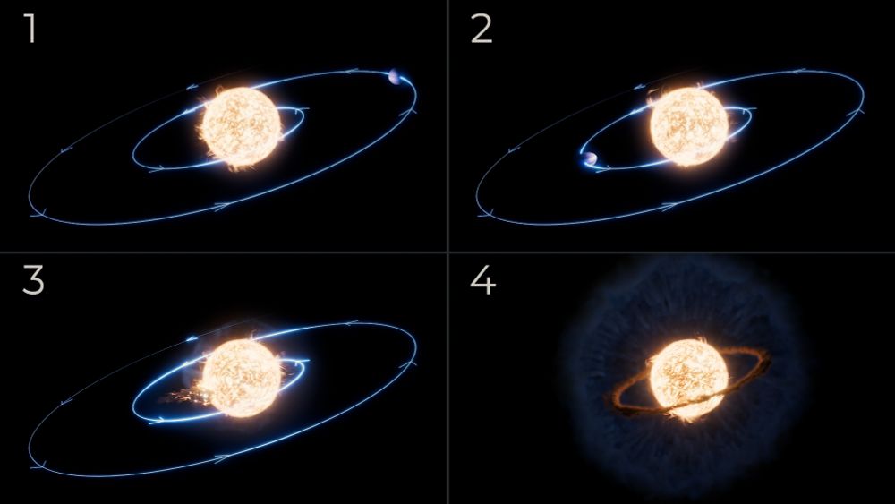 A four panel illustration. Panel 1 shows a host star, which looks like an orange globe with flares coming out on various sides. There is a blue line with arrows forming a spiral around the star. At 2 o’clock in the outer spiral, furthest away from the star, there is a blue planet. Panel 2 shows the same star and lines, but the planet is now at 7 o’clock and closer to the star. It is a little stretched out toward the star. Panel 3 shows the same star and lines, but the planet is fully engulfed by the star, with big flares coming out where the planet and star collided. Panel 4 shows the aftermath, with a very transparent cloud of blue dust spread out from the star. A dark orange horizontal ring of material circles the host star.