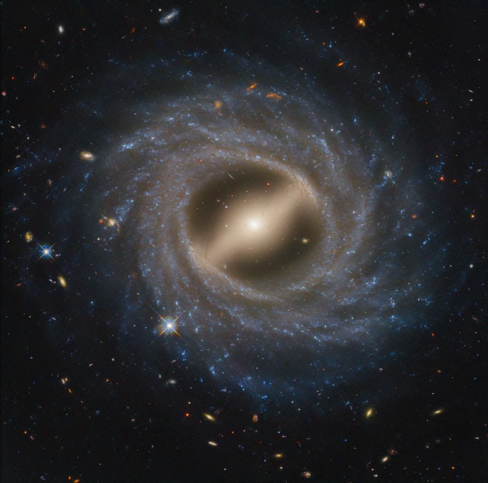 Barred spiral galaxy NGC 5335 observed by the Hubble Space Telescope takes up the majority of the view. At its center is a milky yellow, flattened oval that extends bottom left to top. Within the oval is a bright central region that looks circular, with the very center the brightest. In the bright central region is what looks like a bar, extending from top left to bottom right. Around this is a thick swath of blue stars speckled with white regions. Multiple arms wrap up and around in a counterclockwise direction, becoming fainter the farther out they are. Both the white core and the spiral arms are intertwined with dark streaks of dust. The background of space is black. Thousands of distant galaxies in an array of colors are speckled throughout.