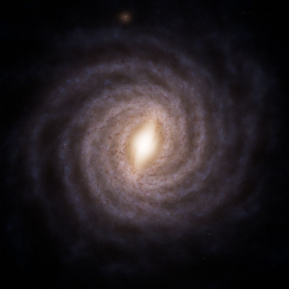 A model image of what our home galaxy, the Milky Way, might look like face-on: as viewed from above the disc of the galaxy, with its spiral arms and bulge in full view. In the centre of the galaxy, the bulge shines as a hazy oval, emitting a faint golden gleam. Starting at the central bulge, several glistening spiral arms coil outwards, creating a perfectly circle-shaped spiral. They give the impression of someone having sprinkled pastel purple glitter on the pitch-black background, in the shape of sparkling, curled-up snakes.