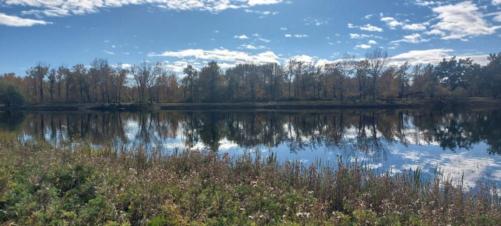 A smooth glassy lake with still leafy trees on the far shoreline and a blue sky above it all.  Blues and whites in the sky reflect on the water like a mirror.