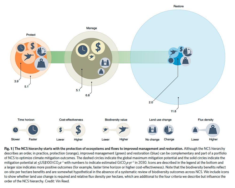The diagram illustrates the hierarchy of Natural Climate Solutions (NCS), focusing on three key approaches: Protect (orange), Manage (green), and Restore (blue). Each approach is represented by overlapping circles, sized to indicate global maximum mitigation potential in gigatonnes of CO₂ equivalent per year (GtCO₂e/yr) by 2030. Icons within the circles represent various factors: time horizon, cost-effectiveness, biodiversity value, land use change, and flux density. Protect has a mitigation potential of 3.9 GtCO₂e/yr, Manage 6.8 GtCO₂e/yr, and Restore 11.8 GtCO₂e/yr. Protect prioritizes immediate ecosystem preservation, with faster time horizons and higher biodiversity value. Manage focuses on improving practices with moderate benefits across criteria. Restore emphasizes long-term solutions requiring land use change and delivering the highest flux density. A legend below explains the icons and their qualitative scales. The diagram highlights the complementary roles of the approaches in optimizing climate mitigation outcomes. 