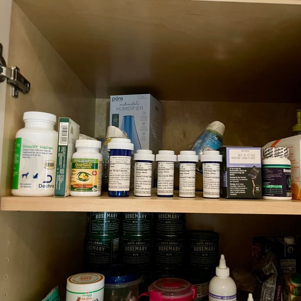 A cupboard shelf filled with dog medication. Ten bottles and boxes in a row. Plus pill wrap and ear wash on the shelf below. 

Second shelf has a lot of stacked rosemary flavored nuts  in back because my husband is obsessed with a seasonal product so he stocks up. 