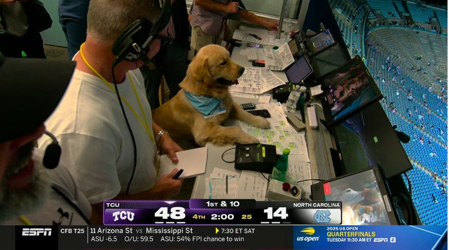 Dog in the broadcast booth for Texas Christian (TCU) vs. North Carolina game