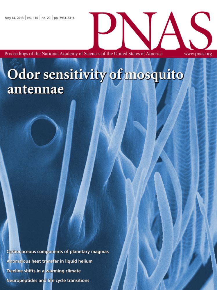 IL-15 in tumor microenvironment causes rejection of large established tumors by T cells in a noncognate T cell receptor-dependent manner | PNAS