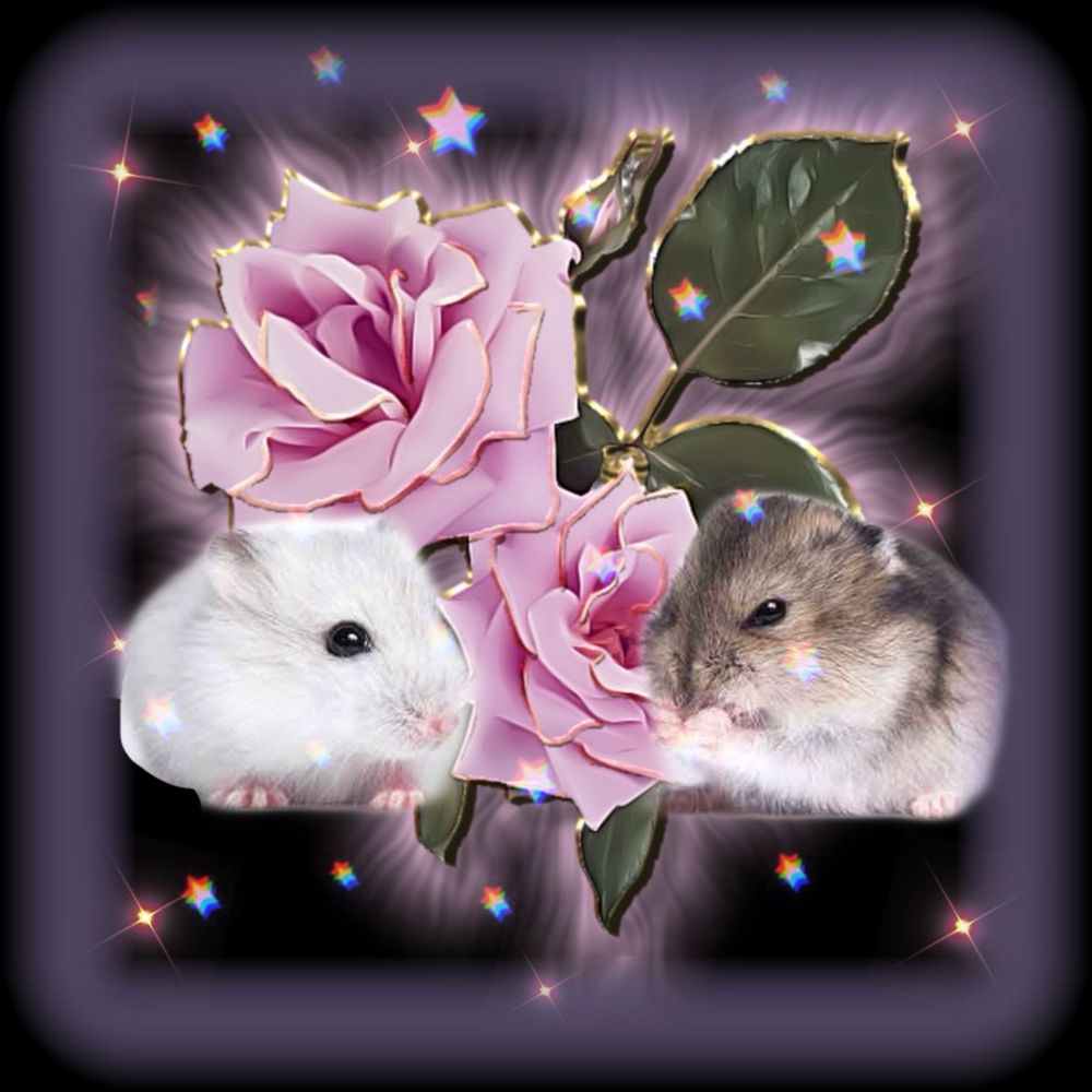 Comment image