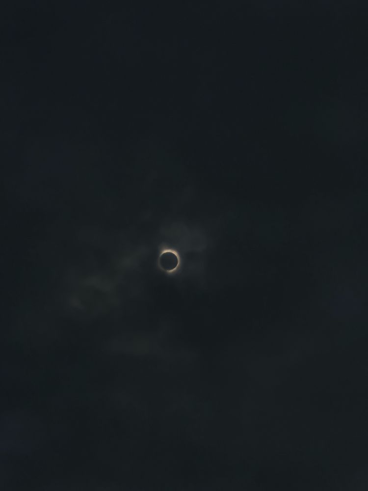 The bright ring of the corona around a dark moon during total eclipse.
