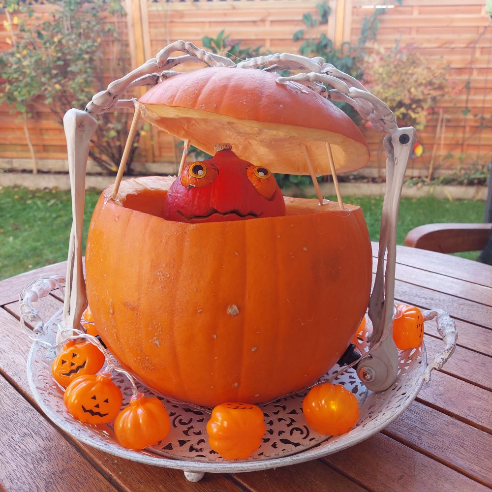 Unser Halloween 🎃 👻