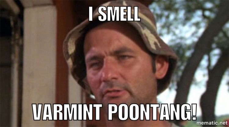 He smells Varmint Poontang