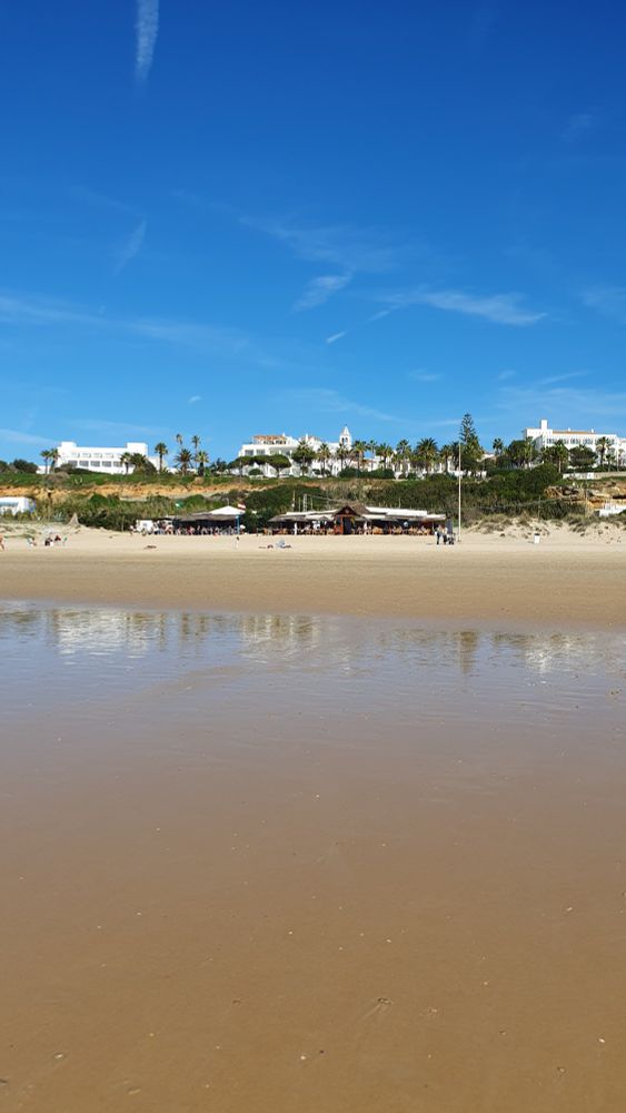Playa de la fontanilla, a la altura del bar curro Jiménez y  el restaurante la ola