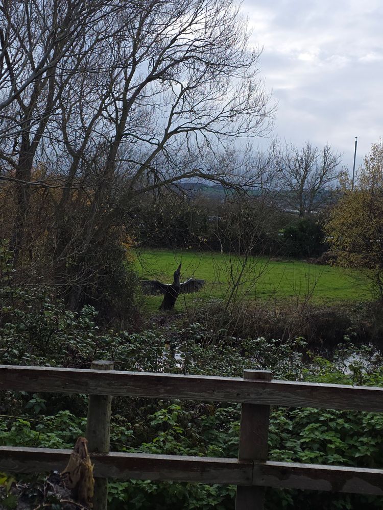 A wooden bird with its wings spread sitting on a riverbank.