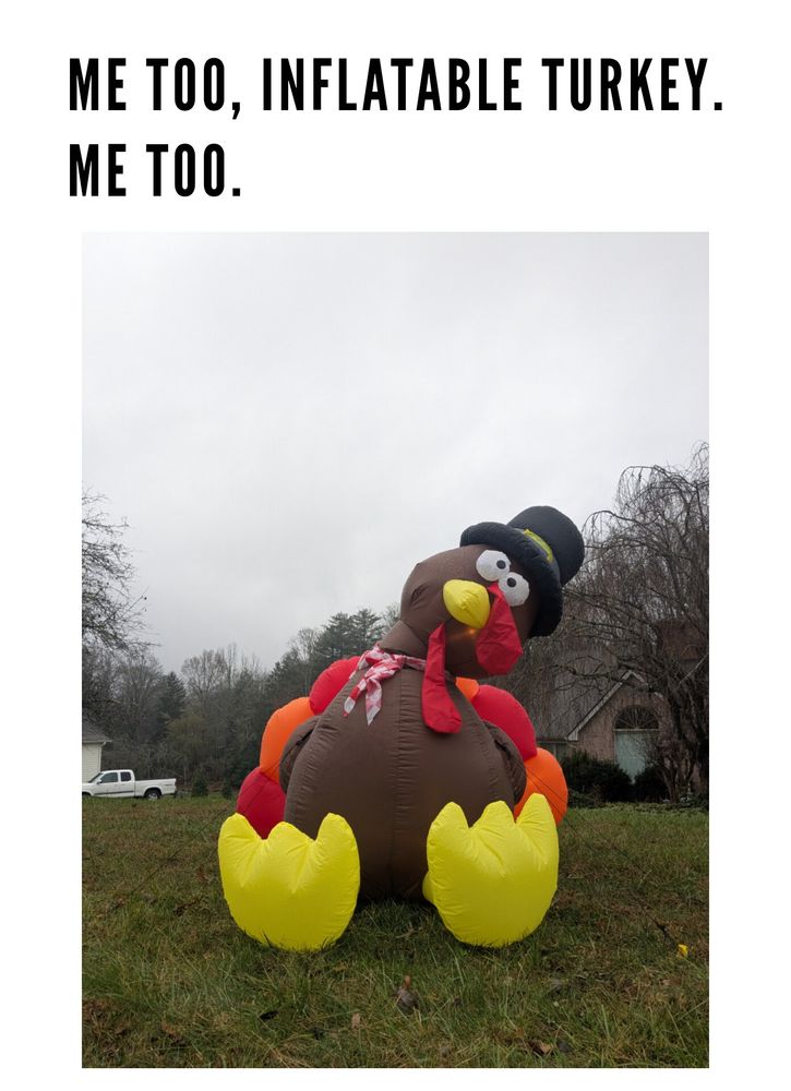 Inflatable turkey lawn decoration that is a little flopped over and struggling with text that reads "me too, inflatable turkey. Me too "