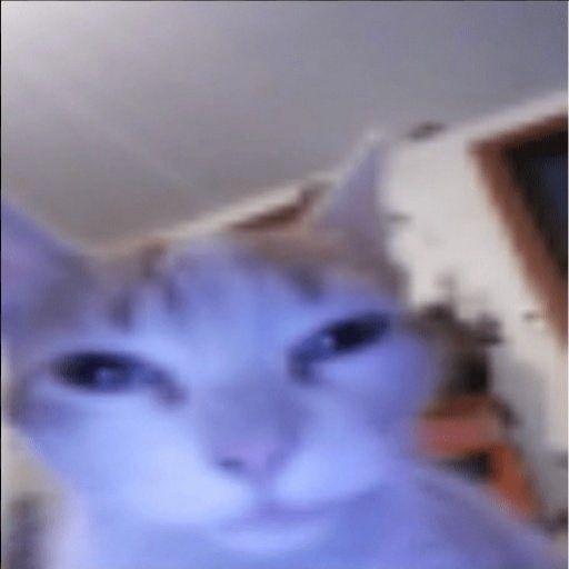 Comment image